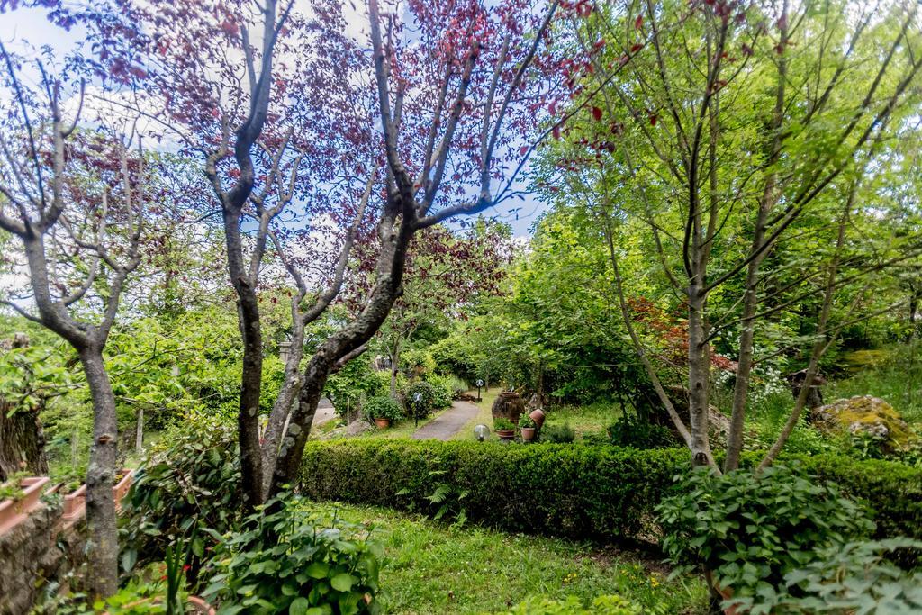 Il Boschetto Di Castagni Bed & Breakfast Soriano nel Cimino Exterior photo